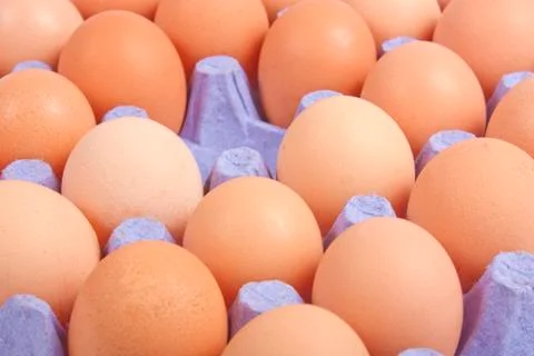 Eggs Stock Photos