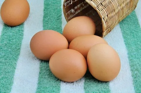 Eggs Stock Photos