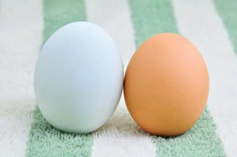Eggs Stock Photos