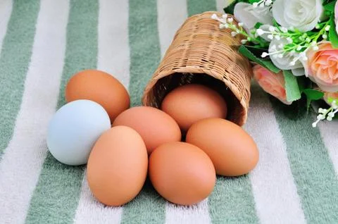 Eggs Stock Photos