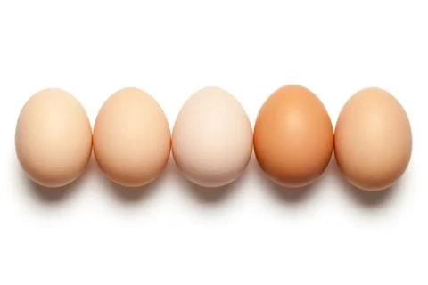 Eggs Stock Photos