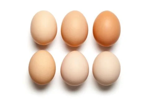 Eggs Stock Photos