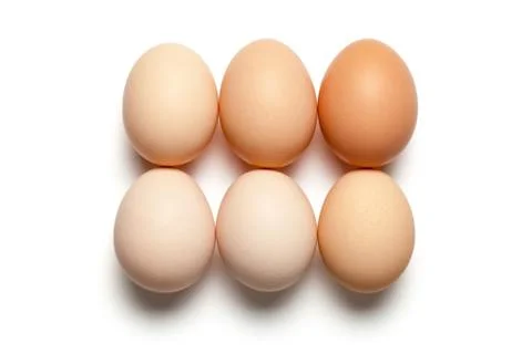 Eggs Stock Photos