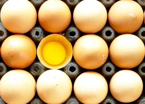 Eggs Stock Photos