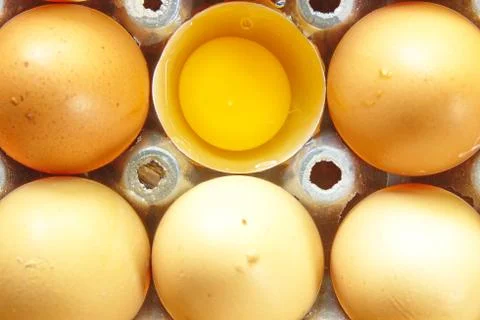 Eggs Stock Photos