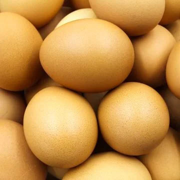 Eggs Stock Photos