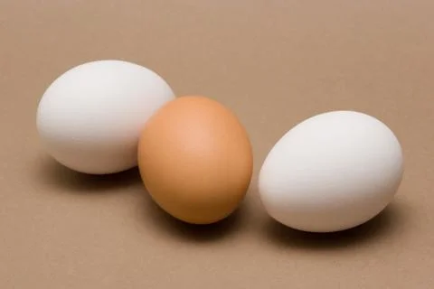 Eggs Stock Photos