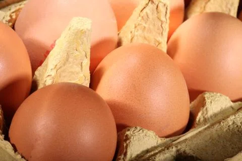 Eggs Stock Photos