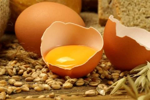 Eggs Stock Photos