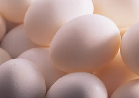 Eggs Stock Photos