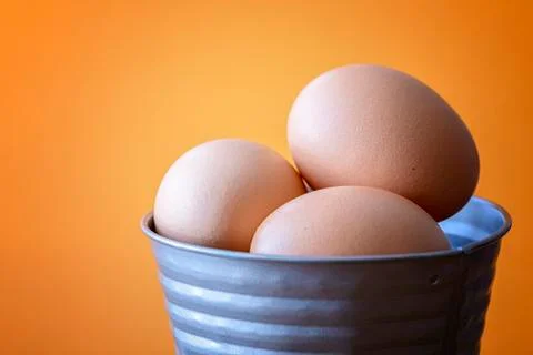 Eggs Stock Photos