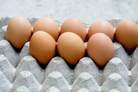 Eggs Stock Photos