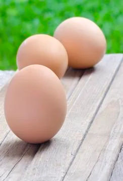 Eggs Stock Photos