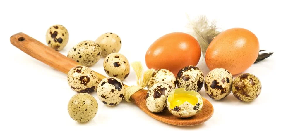 Eggs Stock Photos