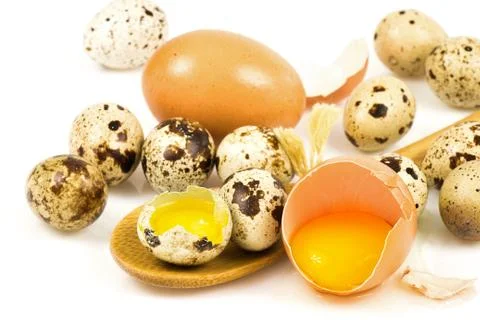 Eggs Stock Photos