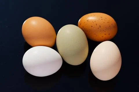 Eggs Stock Photos