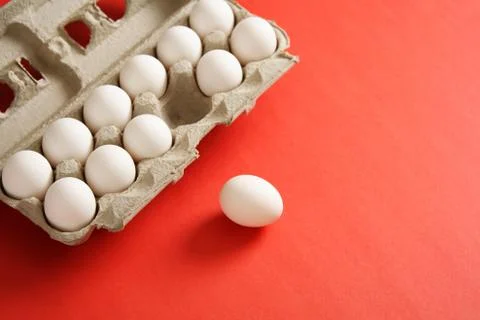 Eggs Stock Photos