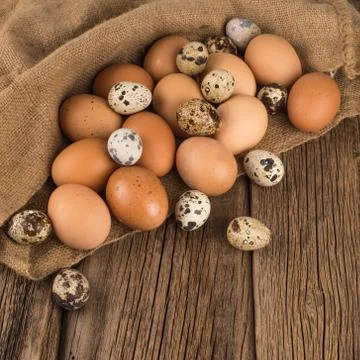 Eggs Fotos de archivo