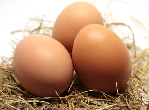 Eggs Stock Photos