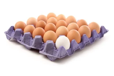 Eggs Stock Photos