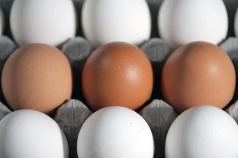 Eggs Stock Photos