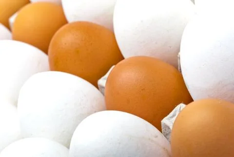 Eggs Stock Photos
