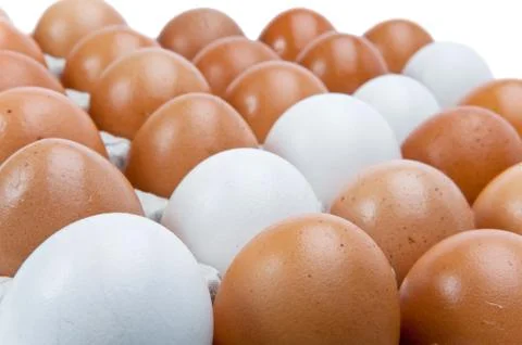 Eggs Stock Photos