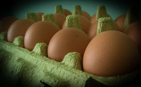 Eggs Stock Photos