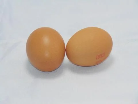 Eggs Stock Photos