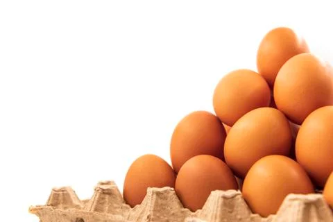 Eggs Stock Photos