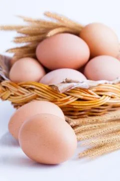 Eggs Stock Photos