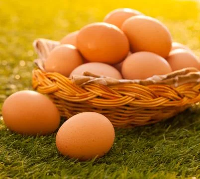 Eggs Stockfoto's