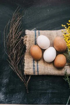 Eggs Stock Photos