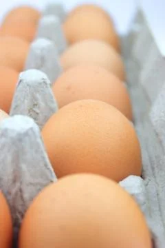 Eggs Stock Photos