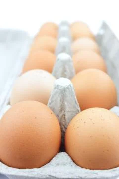 Eggs Stock Photos