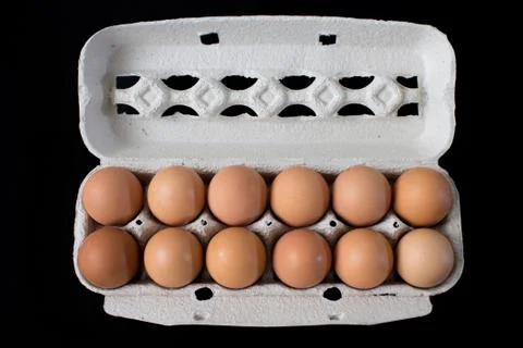 Eggs Stock Photos