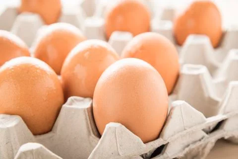 Eggs Stock Photos