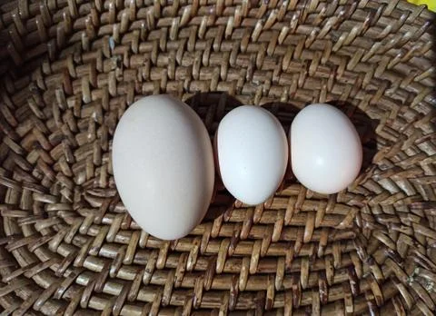 Eggs Foto stock