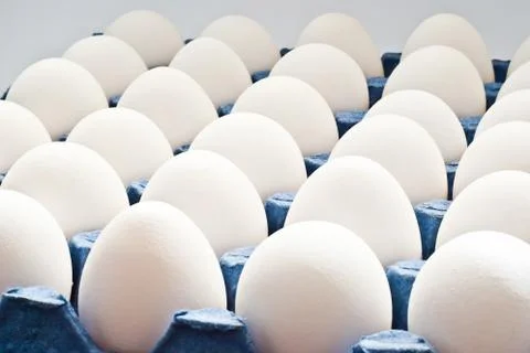 Eggs Stock Photos