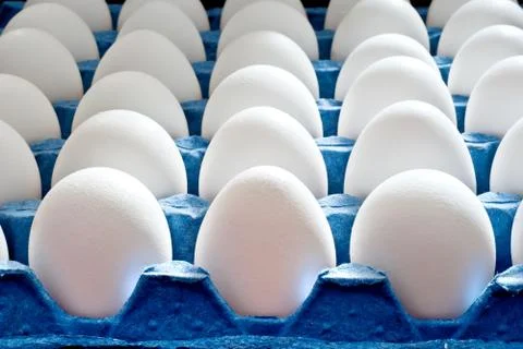 Eggs Stock Photos
