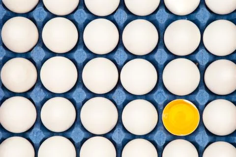 Eggs Stock Photos