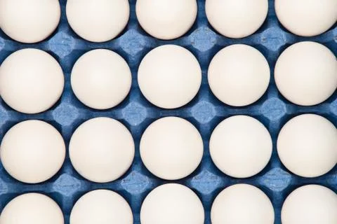 Eggs Stock Photos
