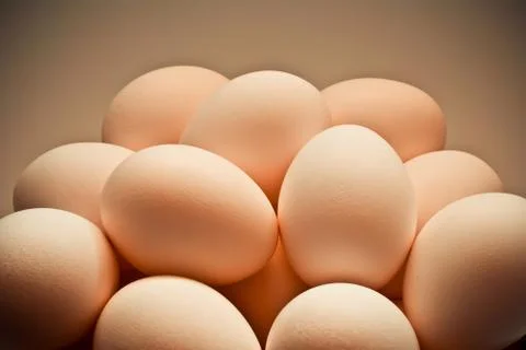 Eggs Stock Photos