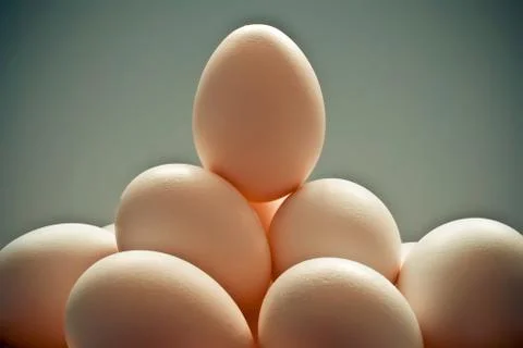 Eggs Stock Photos