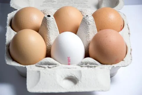 Eggs Stock Photos