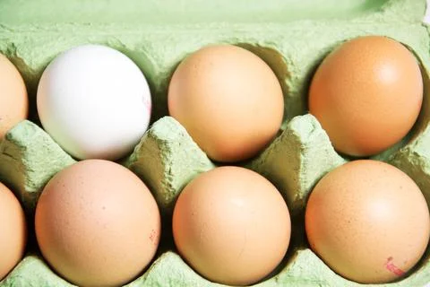 Eggs Stock Photos