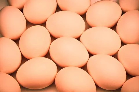 Eggs Stock Photos
