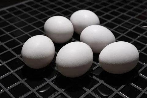 Eggs Foto stock