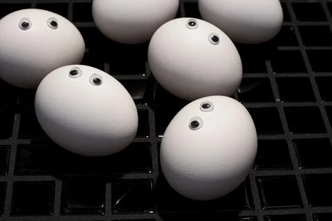 Eggs Foto stock