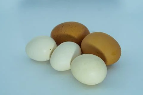 Eggs Stock Photos